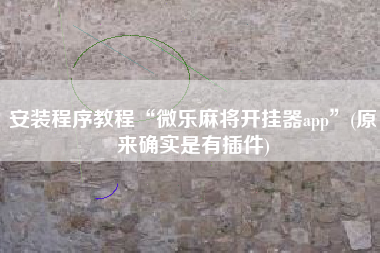 安装程序教程“微乐麻将开挂器app”(原来确实是有插件)