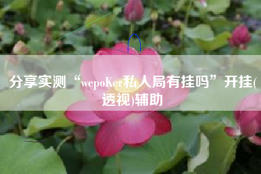 分享实测“wepoKer私人局有挂吗”开挂(透视)辅助