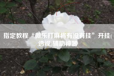 指定教程“微乐打麻将有没有挂”开挂(透视)辅助神器