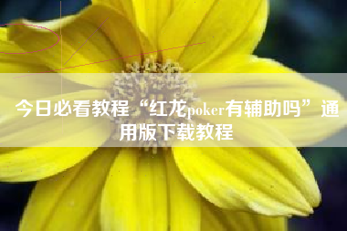 今日必看教程“红龙poker有辅助吗”通用版下载教程
