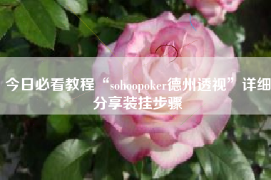 今日必看教程“sohoopoker德州透视”详细分享装挂步骤