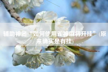辅助神器“如何使用雀神麻将开挂”(原来确实是有挂)