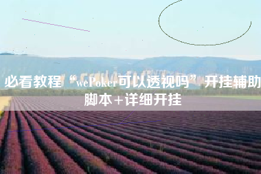 必看教程“wePoker可以透视吗”开挂辅助脚本+详细开挂