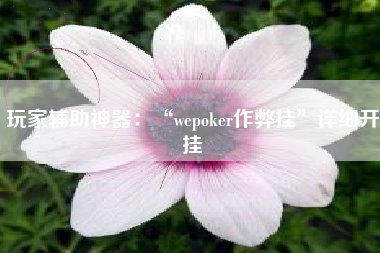 玩家辅助神器：“wepoker作弊挂”详细开挂