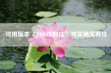 可用版本“WPK作弊挂	”其实确实有挂
