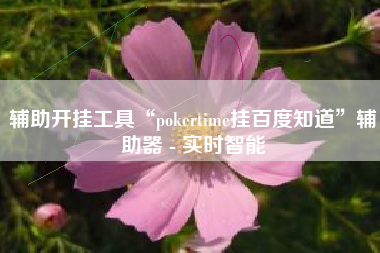 辅助开挂工具“pokertime挂百度知道”辅助器 - 实时智能