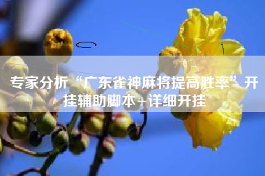 专家分析“广东雀神麻将提高胜率”开挂辅助脚本+详细开挂