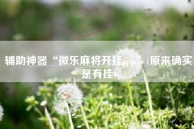 辅助神器“微乐麻将开挂app	”(原来确实是有挂)