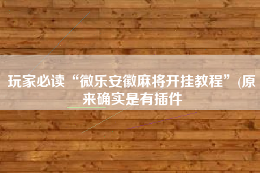 玩家必读“微乐安徽麻将开挂教程”(原来确实是有插件