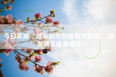 今日实测“微乐游戏到底有没有挂	”(原来确实是有插件