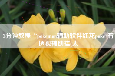 3分钟教程“pokemon辅助软件红龙poker有透视辅助挂(太