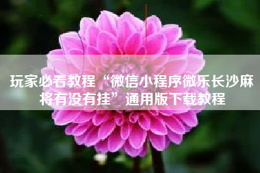 玩家必看教程“微信小程序微乐长沙麻将有没有挂”通用版下载教程