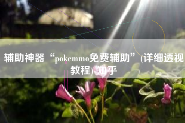辅助神器“pokemmo免费辅助	”(详细透视教程)-知乎