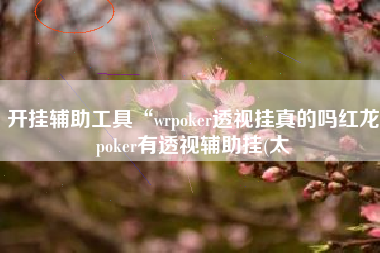 开挂辅助工具“wrpoker透视挂真的吗红龙poker有透视辅助挂(太