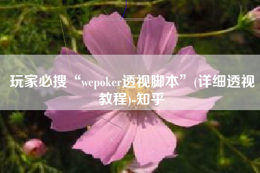 玩家必搜“wepoker透视脚本”(详细透视教程)-知乎