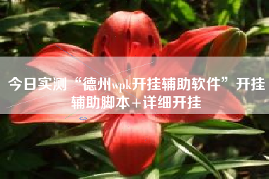 今日实测“德州wpk开挂辅助软件”开挂辅助脚本+详细开挂