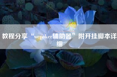 教程分享“wepoker辅助器	”附开挂脚本详细