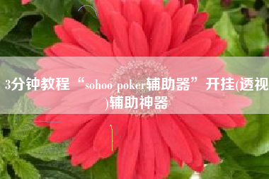 3分钟教程“sohoo poker辅助器”开挂(透视)辅助神器