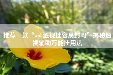 推荐一款“wpk透视挂容易封吗”揭秘透视辅助万能挂用法