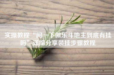 实操教程“问一下微乐斗地主到底有挂吗	”详细分享装挂步骤教程