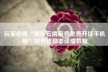 玩家必搜“微乐云南麻将免费开挂手机版”附开挂脚本详细教程