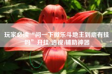 玩家必读“问一下微乐斗地主到底有挂吗”开挂(透视)辅助神器