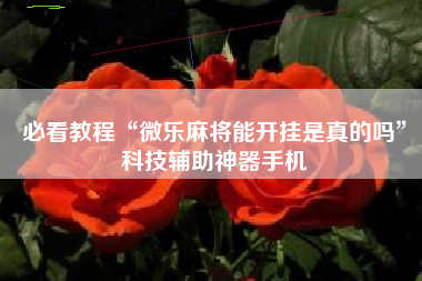 必看教程“微乐麻将能开挂是真的吗”科技辅助神器手机