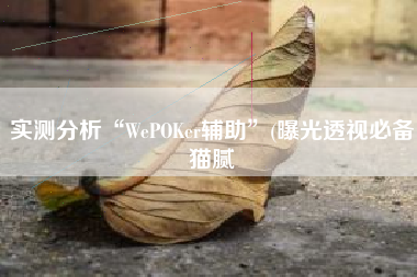实测分析“WePOKer辅助”(曝光透视必备猫腻