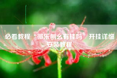 必看教程“微乐刨幺有挂吗”开挂详细安装教程