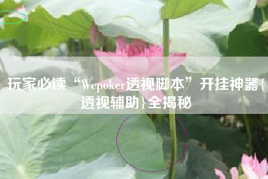 玩家必读“Wepoker透视脚本	”开挂神器{透视辅助}全揭秘