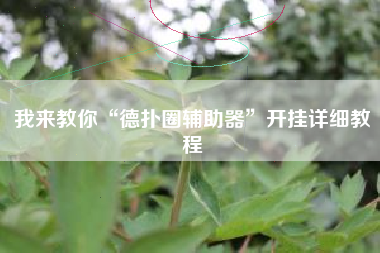 我来教你“德扑圈辅助器”开挂详细教程