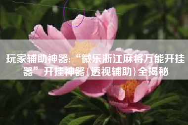 玩家辅助神器:“微乐浙江麻将万能开挂器”开挂神器{透视辅助}全揭秘