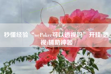 秒懂经验“wePoker可以透视吗	”开挂(透视)辅助神器