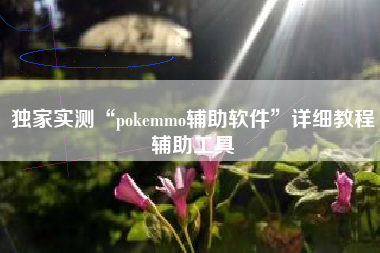独家实测“pokemmo辅助软件	”详细教程辅助工具