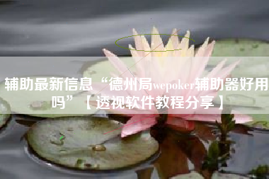 辅助最新信息“德州局wepoker辅助器好用吗”【透视软件教程分享】
