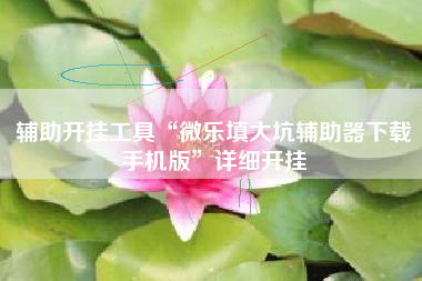 辅助开挂工具“微乐填大坑辅助器下载手机版”详细开挂