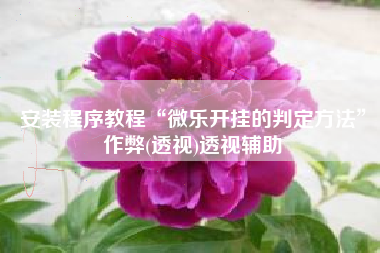 安装程序教程“微乐开挂的判定方法	”作弊(透视)透视辅助