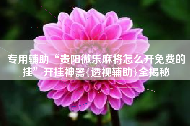 专用辅助“贵阳微乐麻将怎么开免费的挂”开挂神器{透视辅助}全揭秘