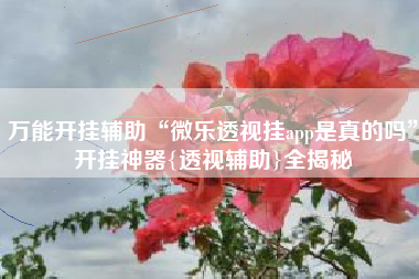 万能开挂辅助“微乐透视挂app是真的吗”开挂神器{透视辅助}全揭秘