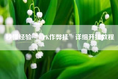 秒懂经验“WPK作弊挂”详细开挂教程