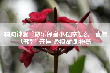 辅助神器“微乐保皇小程序怎么一直发好牌	”开挂(透视)辅助神器