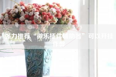 强力推荐“微乐插件辅助器”可以开挂作弊