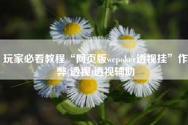 玩家必看教程“网页版wepoker透视挂	”作弊(透视)透视辅助