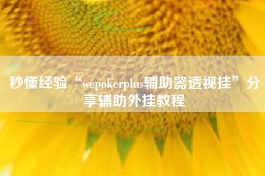 秒懂经验“wepokerplus辅助器透视挂”分享辅助外挂教程