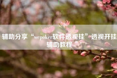 辅助分享“wepoker软件透视挂”透视开挂辅助教程