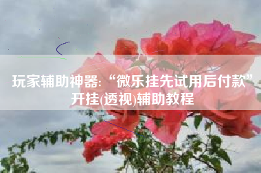 玩家辅助神器:“微乐挂先试用后付款”开挂(透视)辅助教程