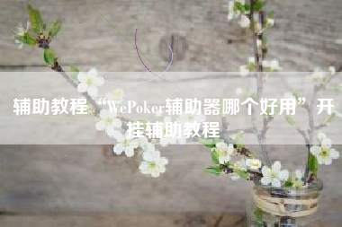 辅助教程“WePoker辅助器哪个好用	”开挂辅助教程