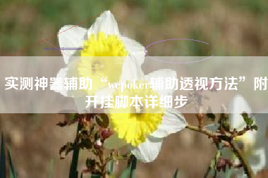实测神器辅助“wepoker辅助透视方法”附开挂脚本详细步