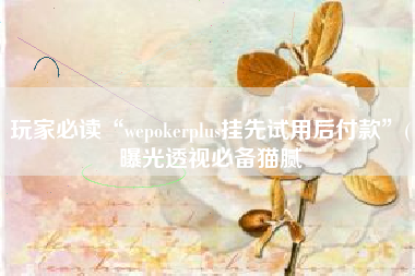 玩家必读“wepokerplus挂先试用后付款	”(曝光透视必备猫腻