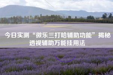 今日实测“微乐三打哈辅助功能	”揭秘透视辅助万能挂用法